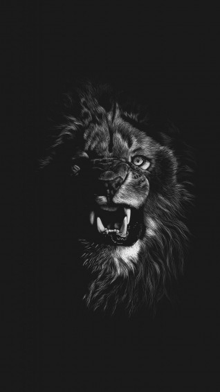 Lion Angry Wallpaper