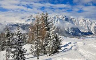 Foggy Winter In The Rocky Mountains Wallpaper Nature
