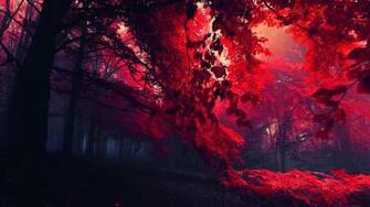 Wallpaper S Red Leaves Beautiful Fall Landscapes HD