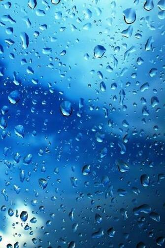Rain HD Wallpaper Themebin Beyond