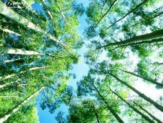 High Resolution Pictures Nice Best Scienaries Different