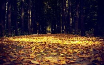 Autumn Fb Covers HD Wallpaper