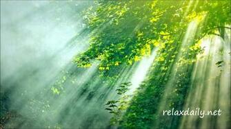 Mindfulness Bamboo Wallpaper HD Resolution