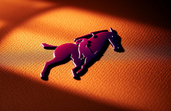 Polo Logo Wallpaper