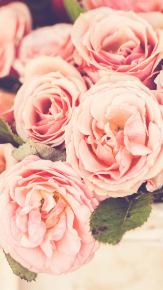 Light Pink Floral iPhone Wallpaper