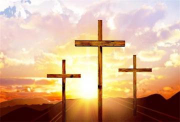 Amazon Csfoto Polyester Wooden Cross Backdrop Easter