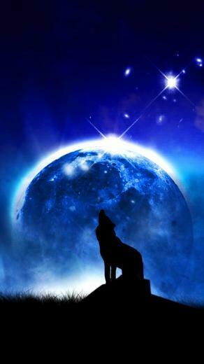 Night Wolf Wallpaper Group
