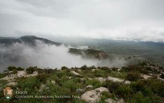 Wallpaper Guadalupe Mountains National Park U S