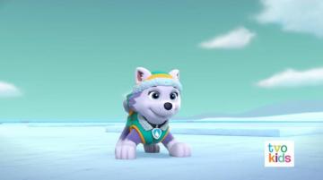 Paw Patrol 320b Scene Everest Photo