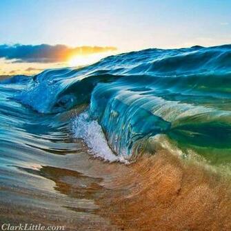 Clark Little Photography Oceanic