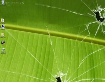 Broken Vista Banana Leaf Wallpaper