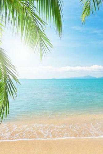 Beachwallpaper