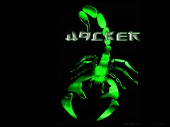 Hacker Wallpaper