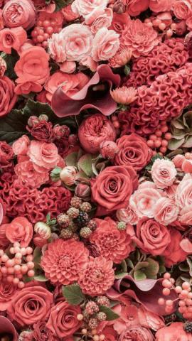 Uria Hsiung On Wallpaper Pink iPhone Spring