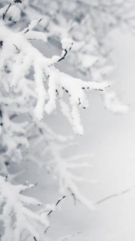 Cute Aesthetic Winter Wallpaper Background Just Jes Lyn