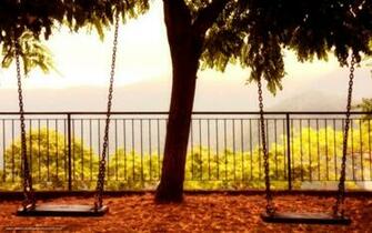 Wallpaper Swing Tree Background Desktop