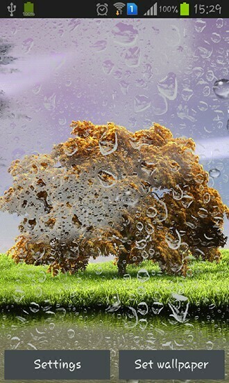 Spring Storm