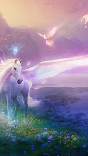 Unicorn Wallpaper For iPhone Plus