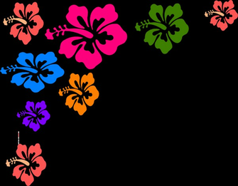Hawaiian Flower Border Clip Art Clipart Panda Image