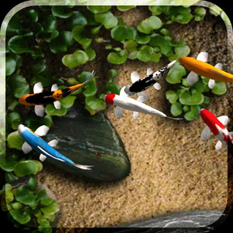 Koi Live Wallpaper Apk Y Full