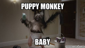 Puppymonkeybaby