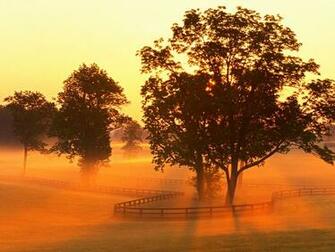 On Horse Farm Versailles Kentucky Picture Sunrise