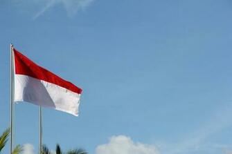 Indonesia Flag Pictures Image