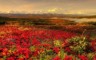 Desktop Wallpaper Background Pc Stock Image Photos
