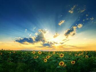 Best Sources For Desktop Pictures S