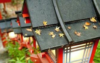 Japan Wallpaper Widescreen