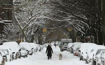 Winter Storm Wallpaper