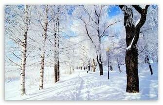 Winter Wonderland HD Desktop Wallpaper High Definition Fullscreen