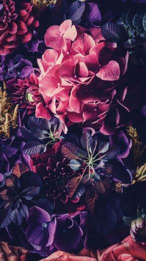 Floral iPhone Wallpaper To Celebrate 65k Followers