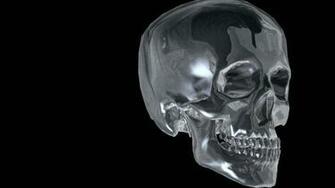 Crystal Skull Wallpaper HD Desktopinhq