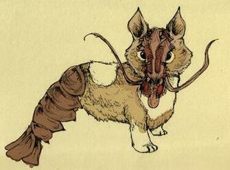 Corgi Lobster