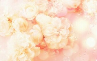 Sony Wallpaper Desktop Background Flowers Beautiful