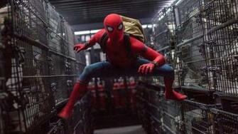Wallpaper Spider Man Homecoming 4k 8k Tom Holland Marvel
