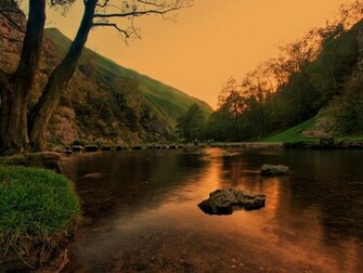 Nature Wallpaper In Sepia