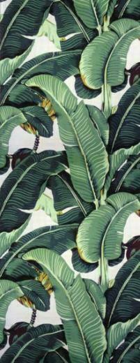 Tropical Leaves Wallpaper