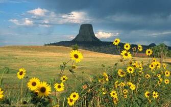 Devils Tower Wallpaper
