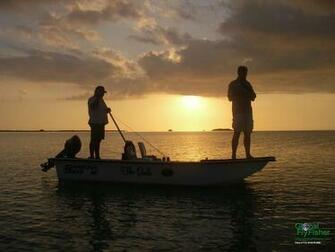 Fishing Fly Tying Resources Research Global Flyfisher Wallpaper