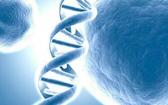 Dna HD Miscellaneous Digital Art Tube With Resolutions