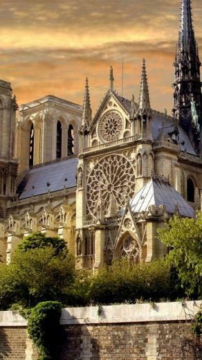 Notre Dame iPhone Background HD