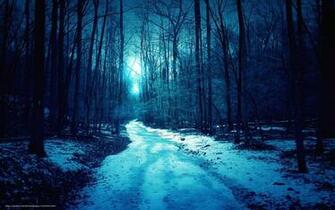 Wallpaper Winter Forest Road Desktop In The
