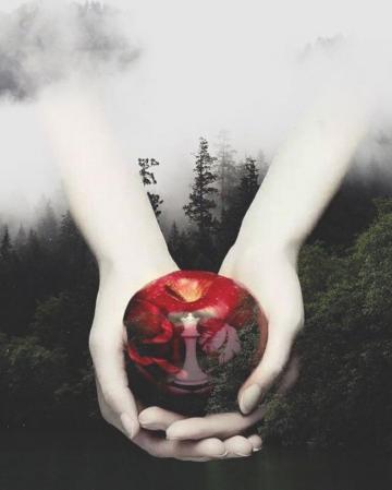 Twilight Fan On Instagram Volturi Twilightnewmoon