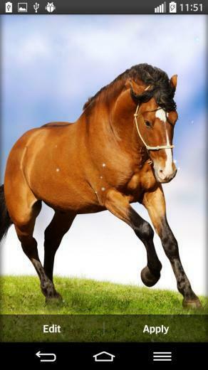 Horse Live Wallpaper Android Apps On Google Play