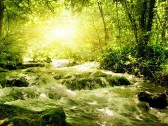 Wallpaper Spring