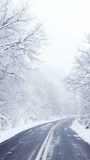 Cold Winter Road Wallpaper For iPhone Plus