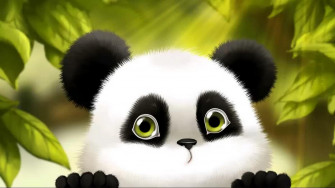 Cute Wallpaper HD