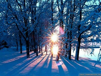 Wallpaper Winter Sun